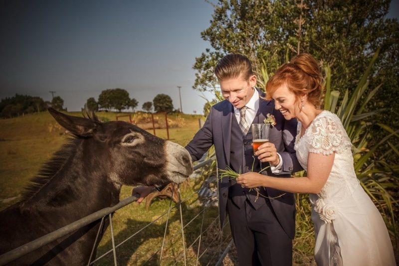 A Groom and Bride feeding the horse