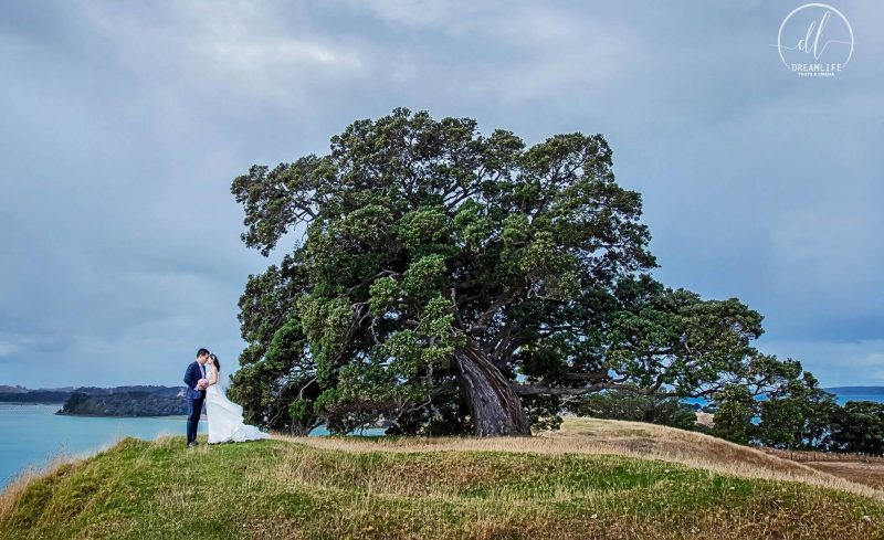 groom and bride with a tree backdrop